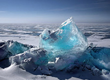 马竞与那不勒斯追逐若昂-戈麦斯，狼队欲留人至夏末|热刺|天空体育|安德烈-戈麦斯|若昂·菲利克斯|马德里竞技_新浪体育_新浪新闻